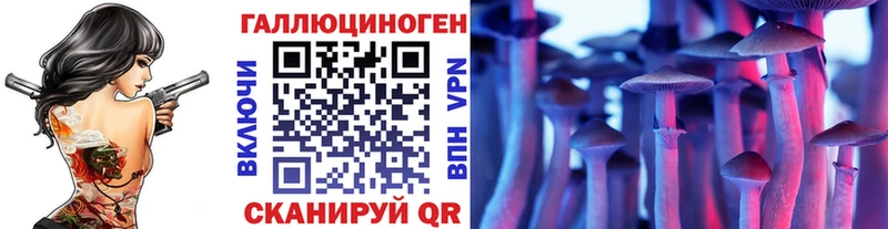 Купить где  Цимлянск  Псилоцибиновые грибы Cubensis 